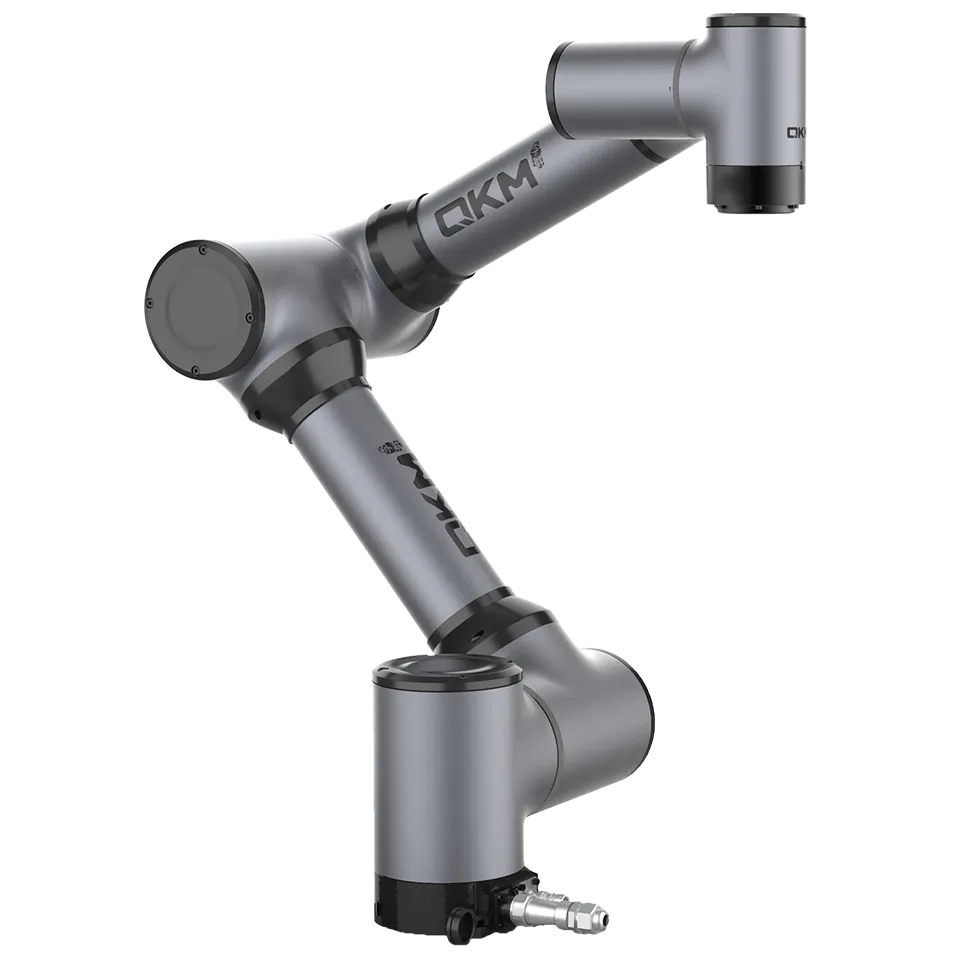 B ms6mt